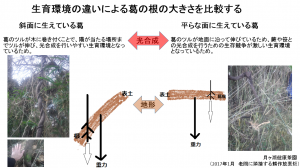 環境の違い　根